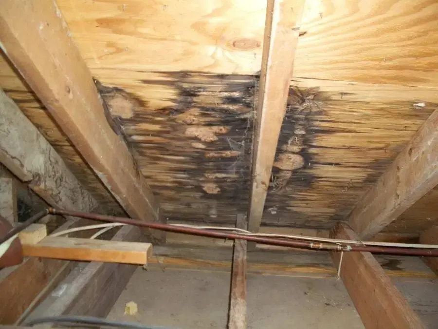 Water-stained roof decking and rafters in an attic from a roof leak
